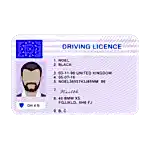 license 300x300 1