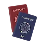 passport 300x300 1