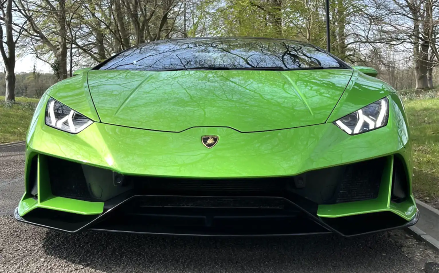Lamborghini - Image 3