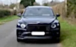 Bentley - Image 3