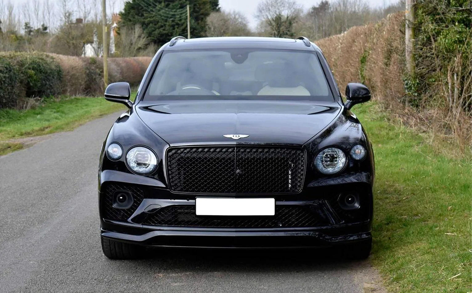 Bentley - Image 3
