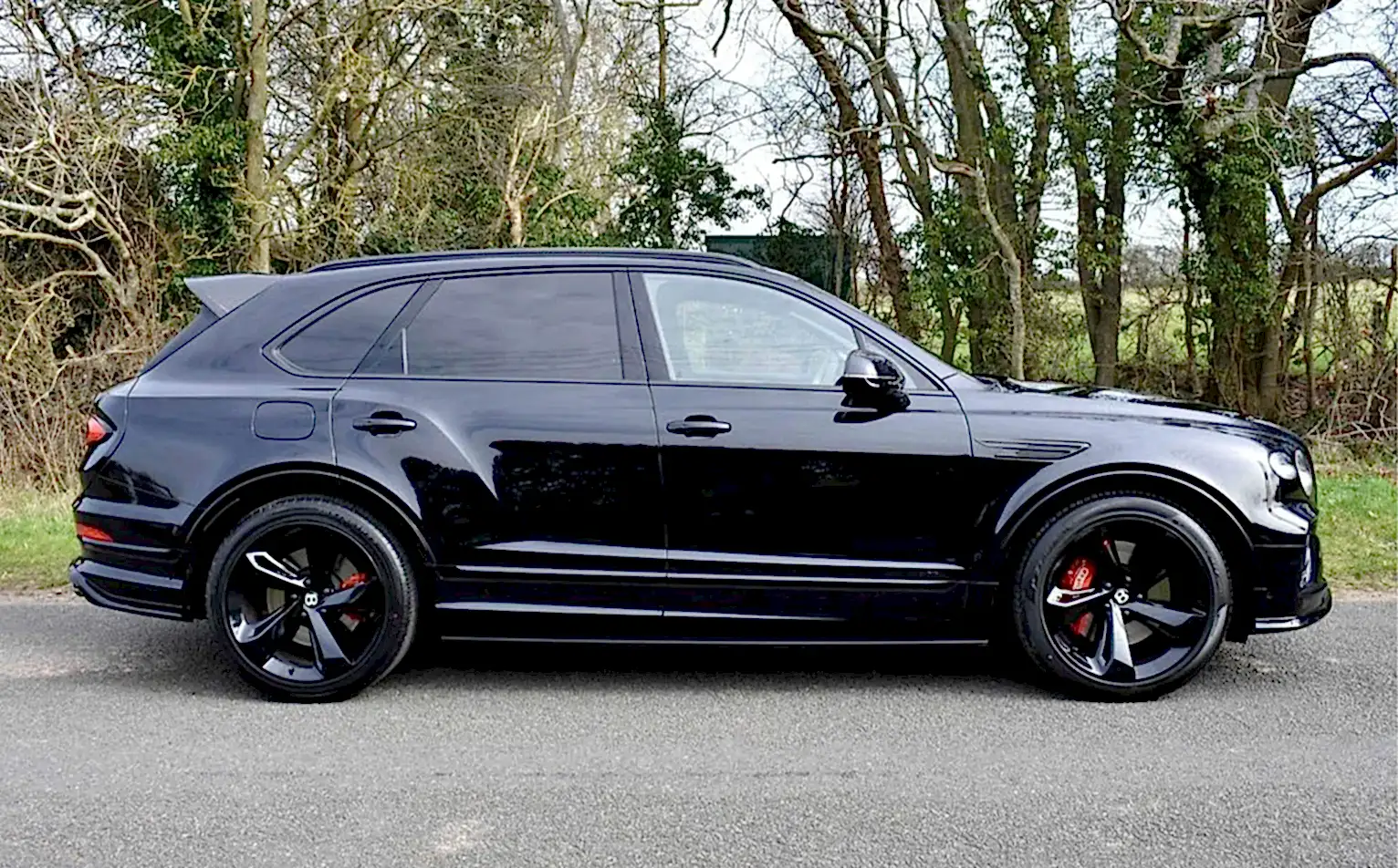 Bentley - Image 4
