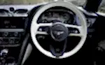 Bentley - Image 5