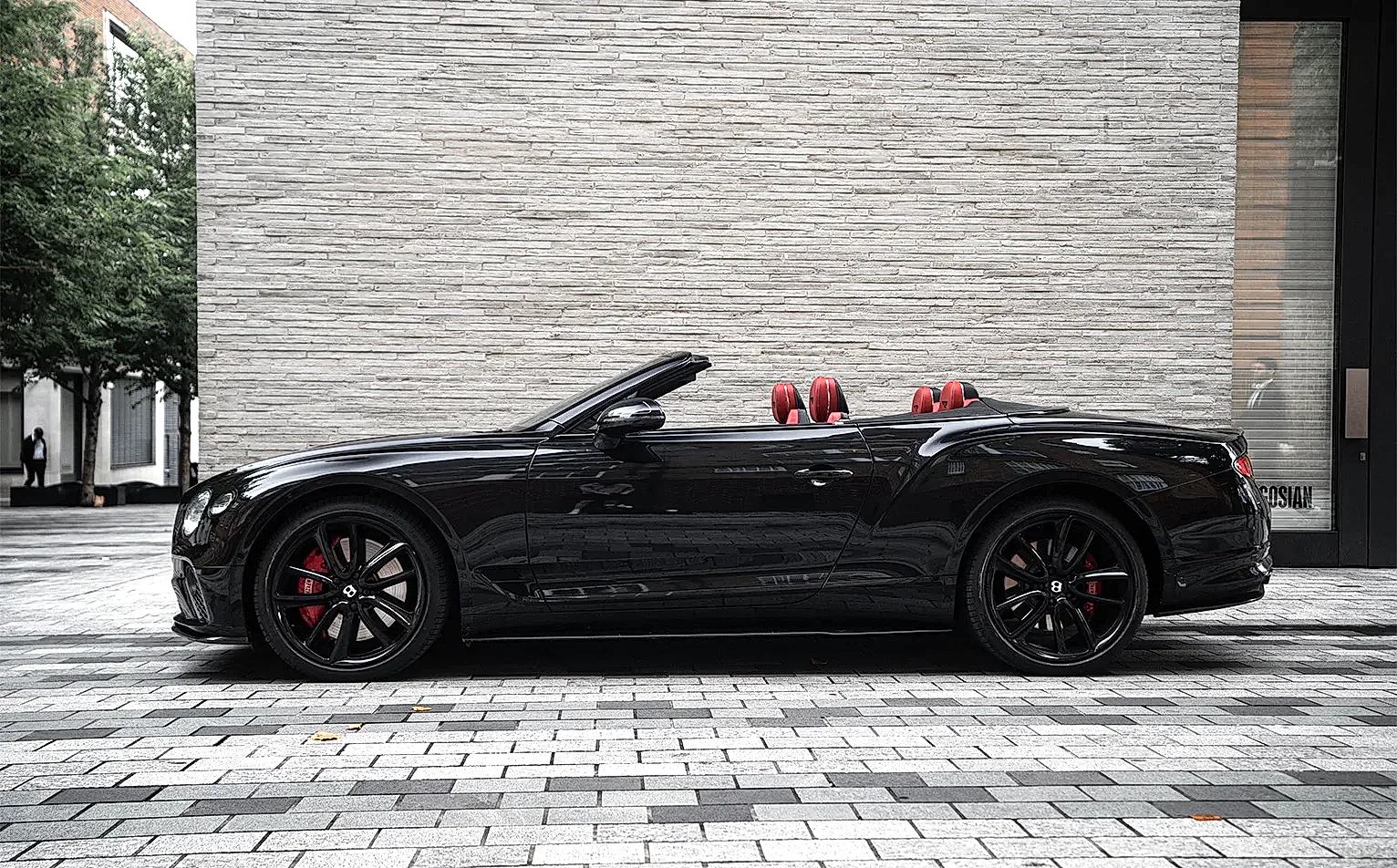 Bentley - Image 5