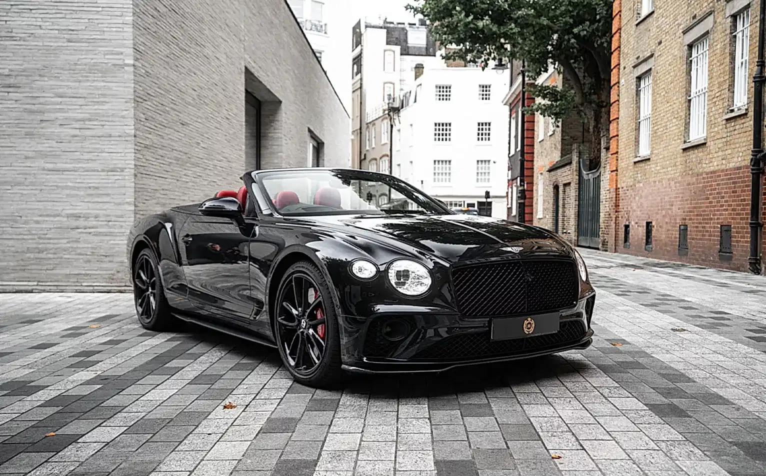 Bentley - Image 2