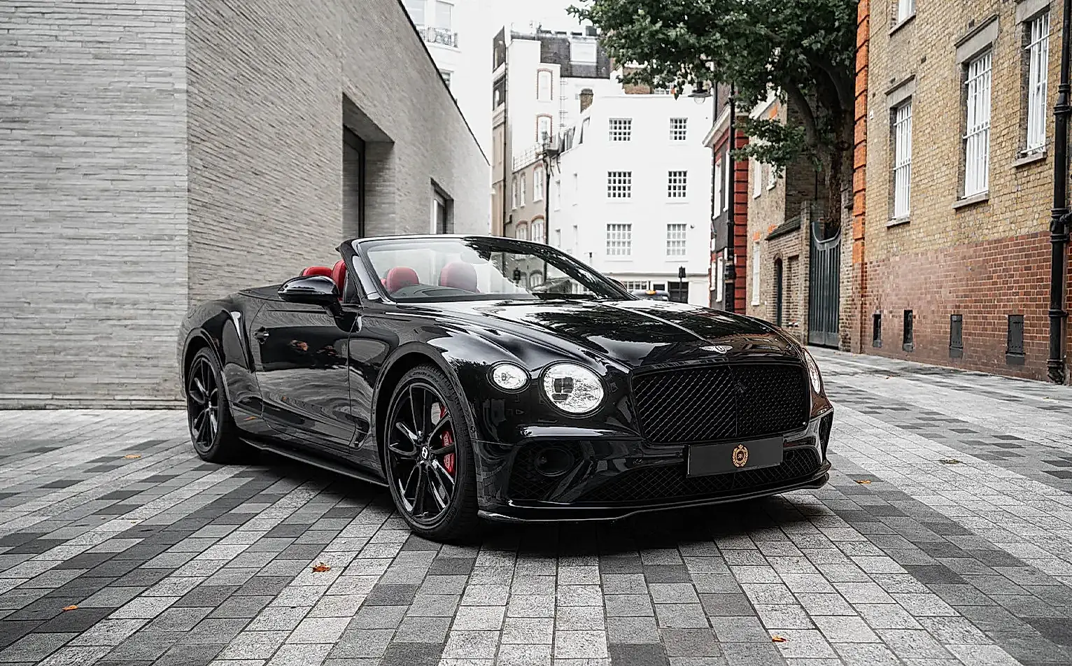 Bentley - Image 8